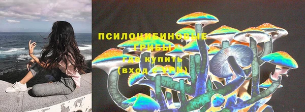 mdpv Краснотурьинск
