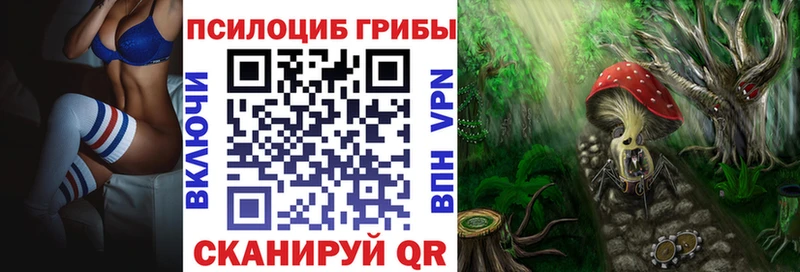 Галлюциногенные грибы Magic Shrooms  Купить где  Дедовск 
